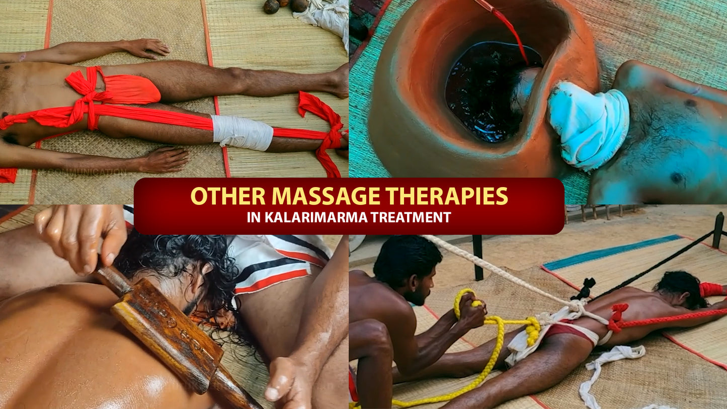 Other kalari marma therapy segments 200 short videos package