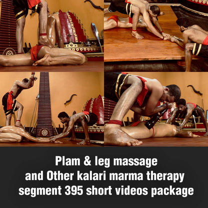 Plam & leg massage and Other kalari marma therapy segment 395 short videos package