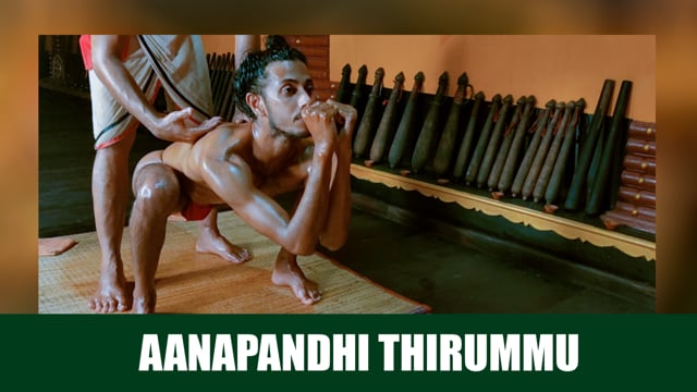 Palm massage therapy segment in Kalari marma therapy - AANAPANDHITHIRUMMU (Duration : 01:08:09)