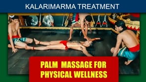 Palm Massage For Physical Wellness - Part 2 (Duration: 01:55:54)